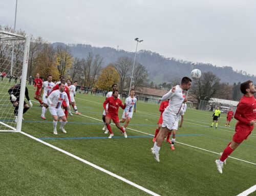 Gerechtes Remis gegen den SV Höngg II